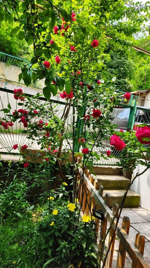 Hotel Borjomi Nest Exterior foto